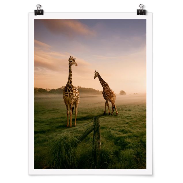 Tableau arbres Surreal Giraffes