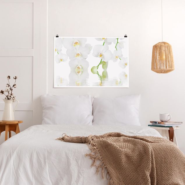 Tableaux moderne Spa Orchid - Orchidée blanche