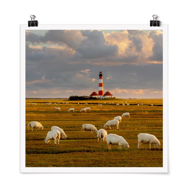 Tableau bord de mer Phare de la mer du Nord avec un troupeau de moutons