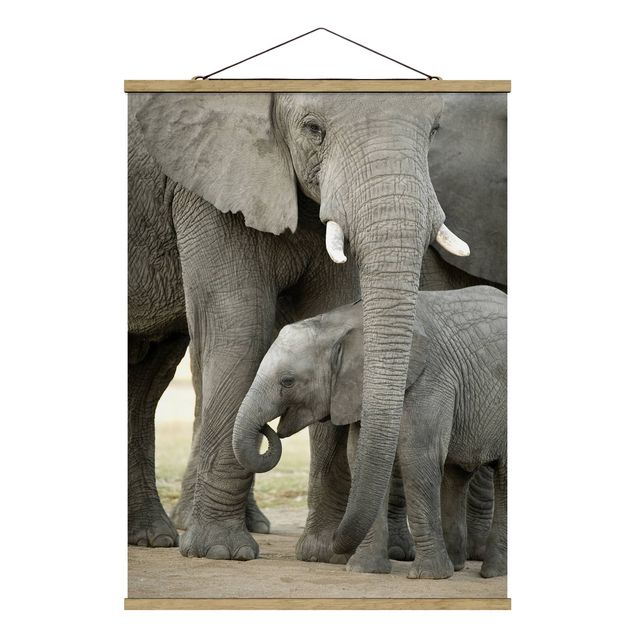 Tableaux animaux Elephant Love