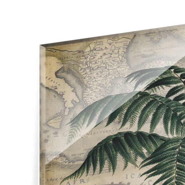 Fond de hotte - Vintage Collage - Palm And World Map