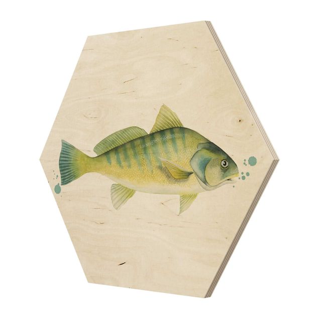 Hexagone en bois - Color Catch - Perch