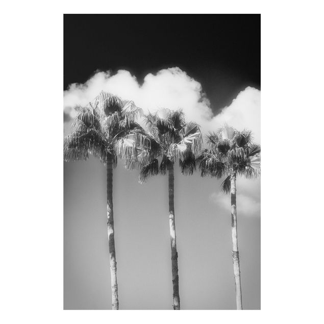 Tableaux paysage Palmiers Contre Le Ciel Noir Et Blanc