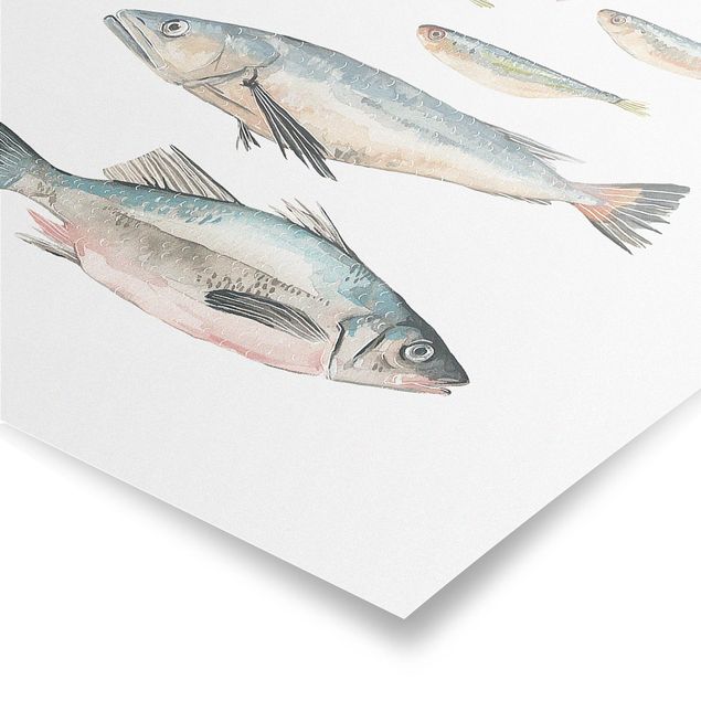 Poster animaux Sept poissons à l'aquarelle II