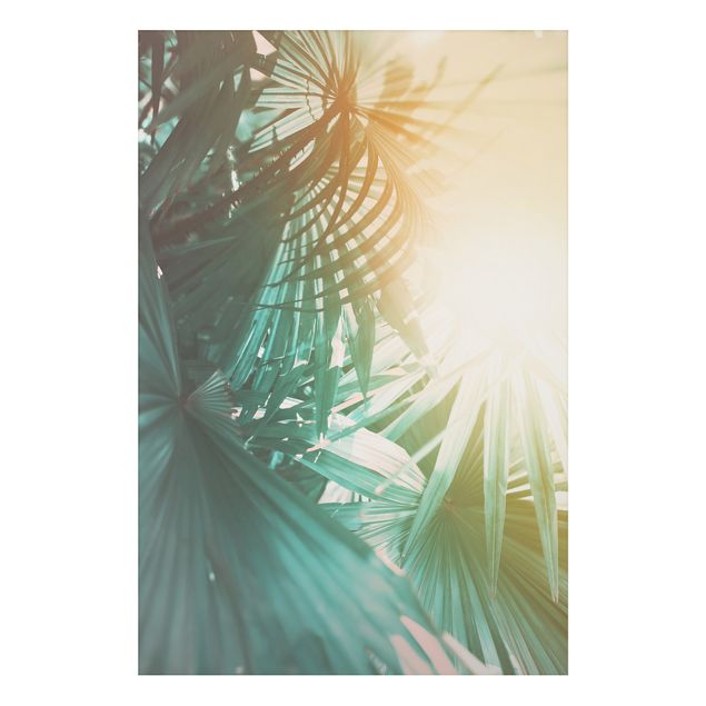Tableaux paysage Plantes Tropicales Palmiers au Coucher du Soleil