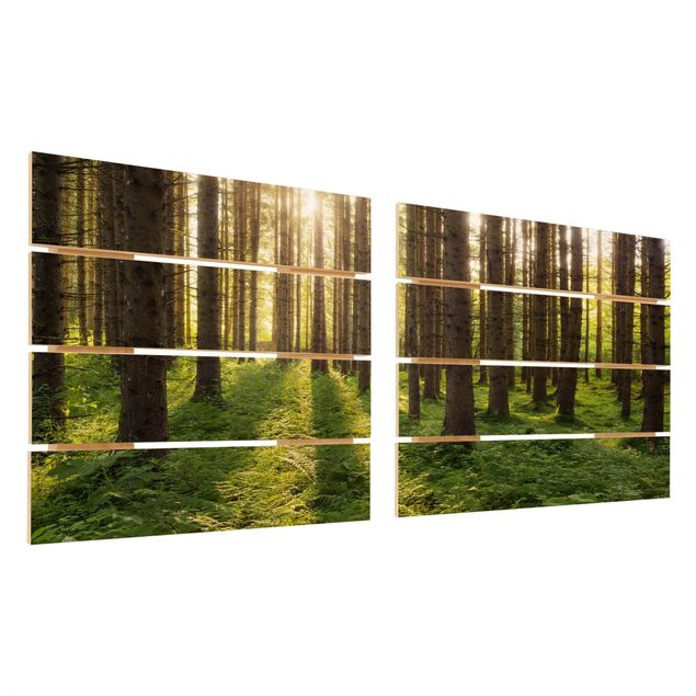 Tableaux bois Rayons de soleil dans une forêt verte