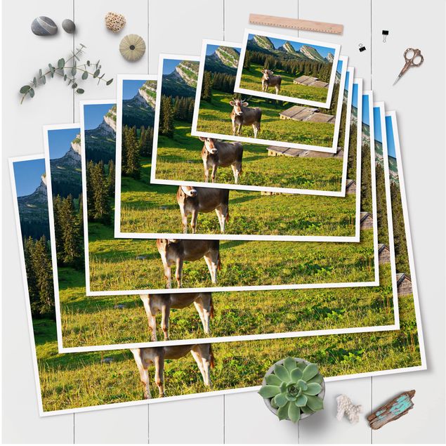 Tableaux nature Prairie alpine suisse avec vache