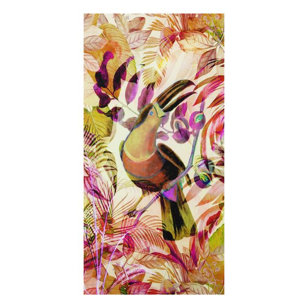 Tableaux moderne Collage coloré - Toucan