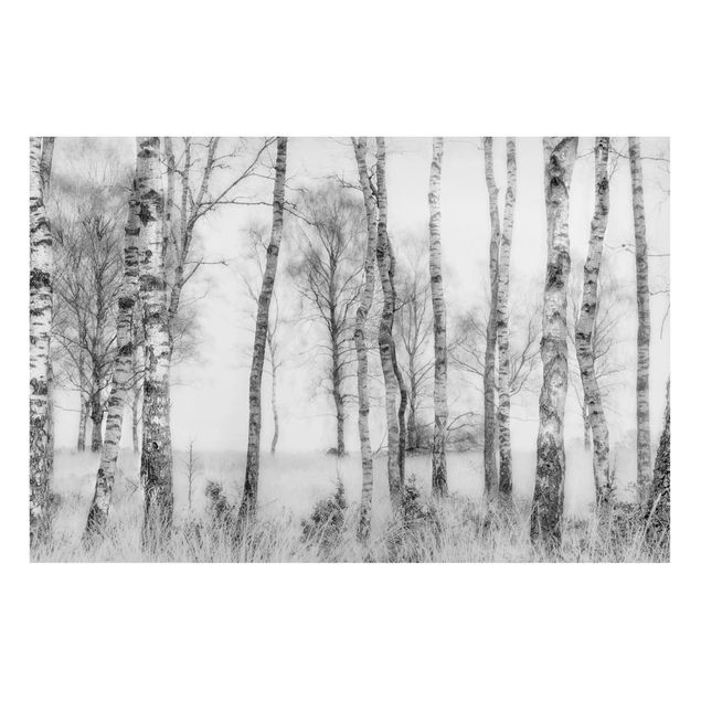 Tableau paysages Forêt de bouleaux mystique noire et blanche