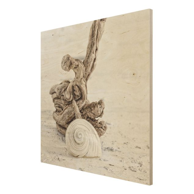 Tableaux en bois avec plage & mer coquille d'escargot blanche et bois de racine