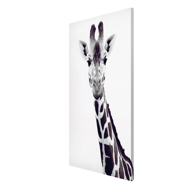 Tableaux moderne Portrait de girafe en noir et blanc