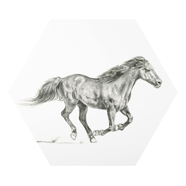 Tableau forex Cheval sauvage - Jument