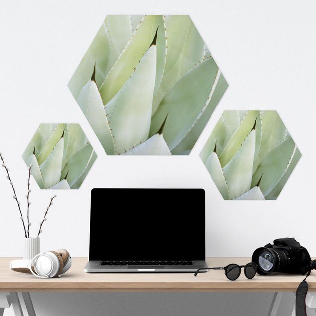 Hexagone en forex - Aloe