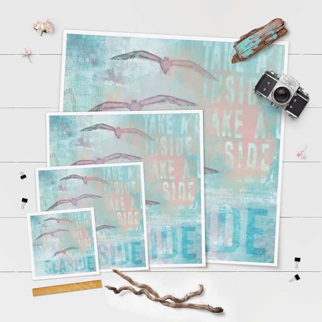 Posters muraux Collage Shabby Chic - Mouettes