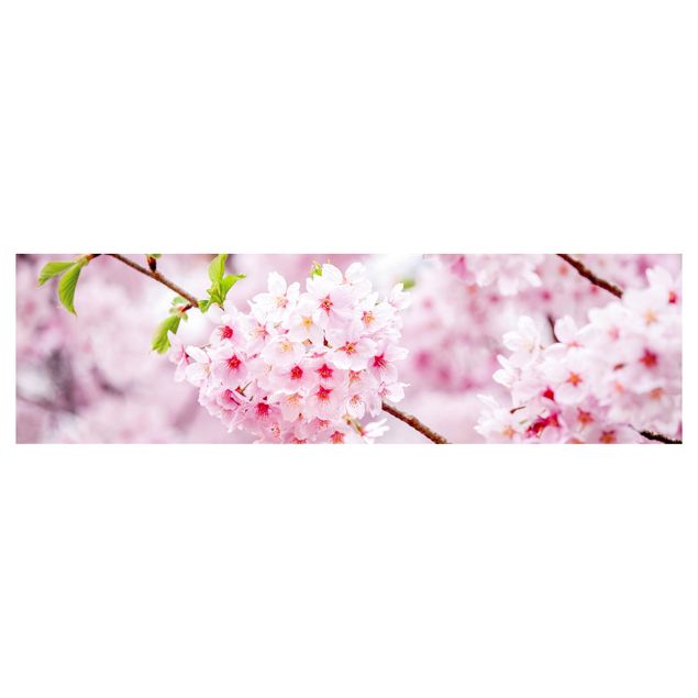 Crédence cuisine Japanese Cherry Blossoms