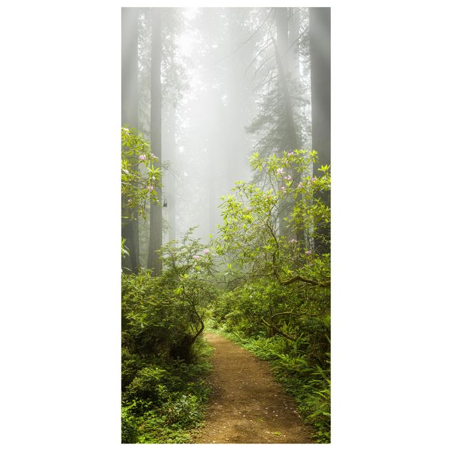 Panneau de séparation - Misty Forest Path