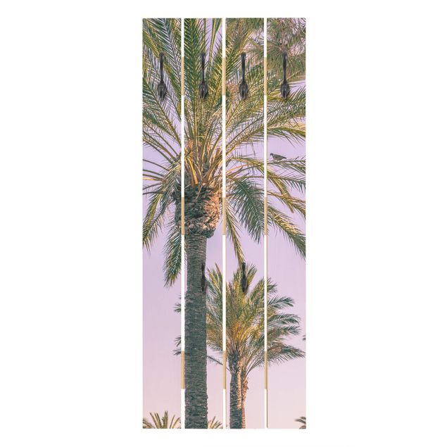 Porte-manteaux muraux verts Palmiers au coucher du soleil