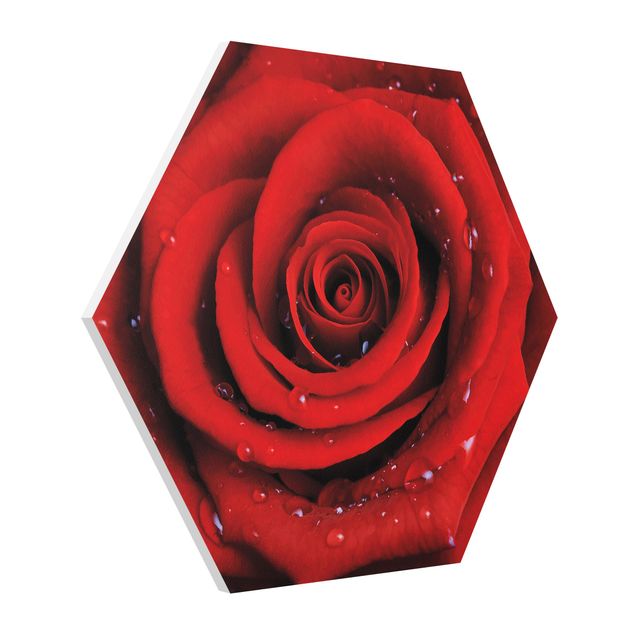 Tableau romantique amour Rose rouge avec gouttes d'eau