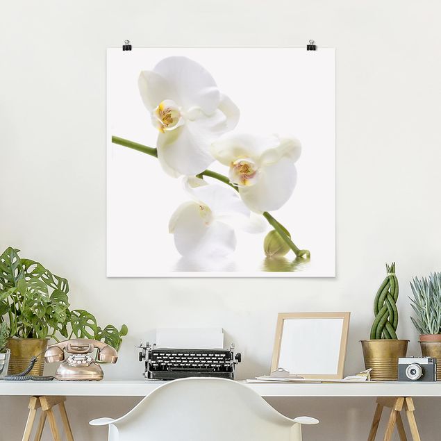 Tableau orchidées Eaux de l'Orchidée Blanche