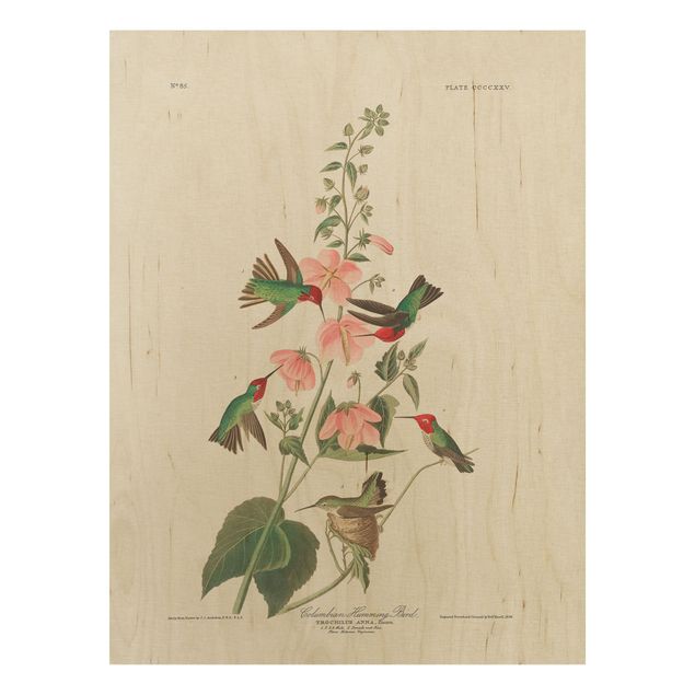 Tableaux en bois avec fleurs Panneau Vintage Colibri colombien