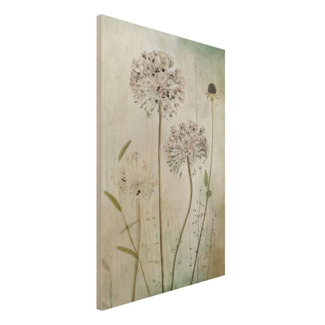 Tableaux en bois avec fleurs Fleurs d'Allium au pastel