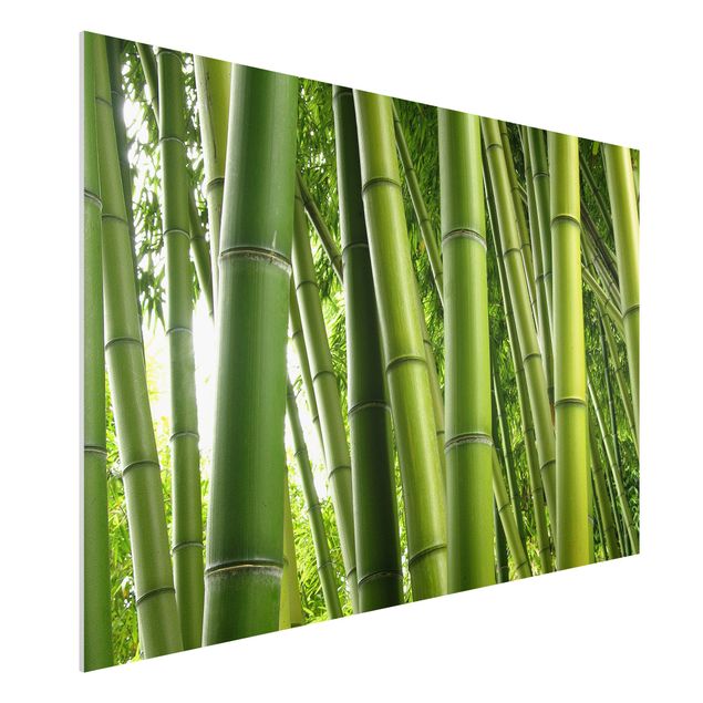 Déco mur cuisine Bambous No.1
