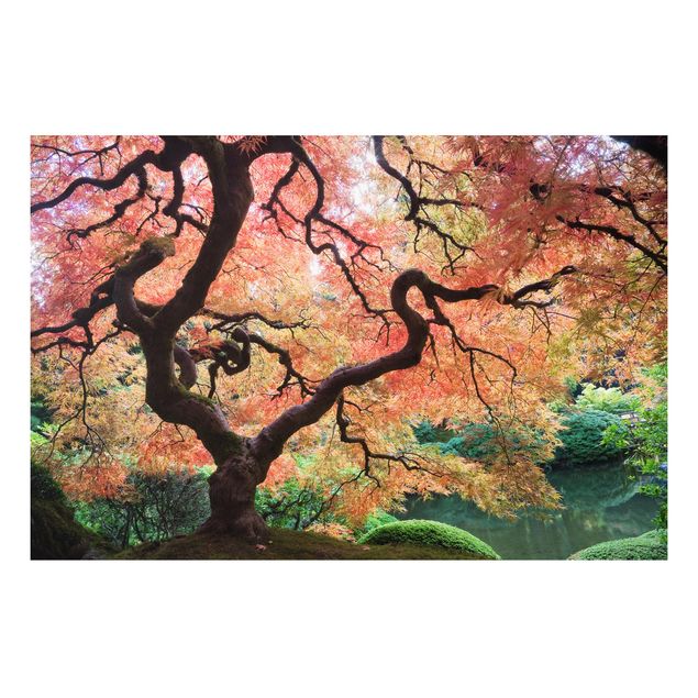 Tableaux paysage Jardin japonais