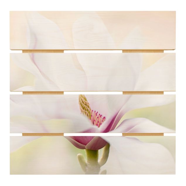 Tableaux bois Délicate fleur de magnolia