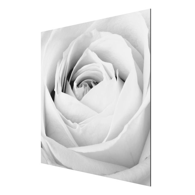 tableaux floraux Close Up Rose