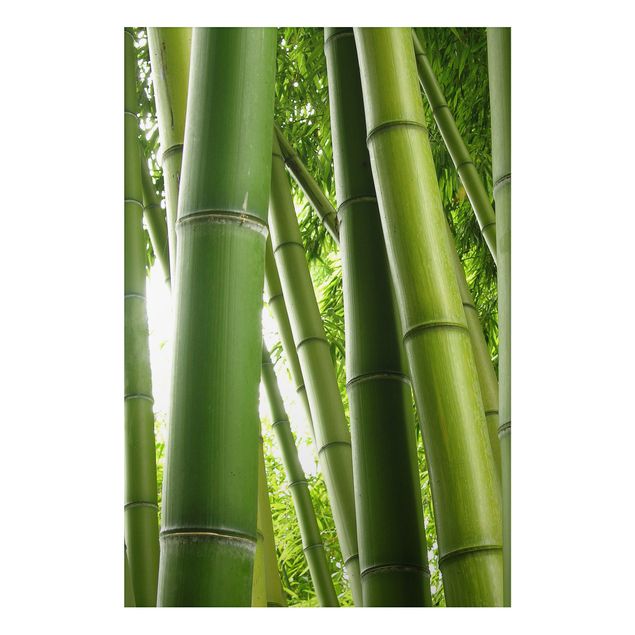 Tableau paysage Bambous No.1