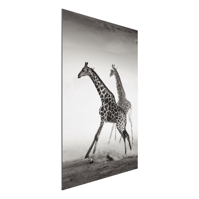 Déco mur cuisine Girafes à la chasse