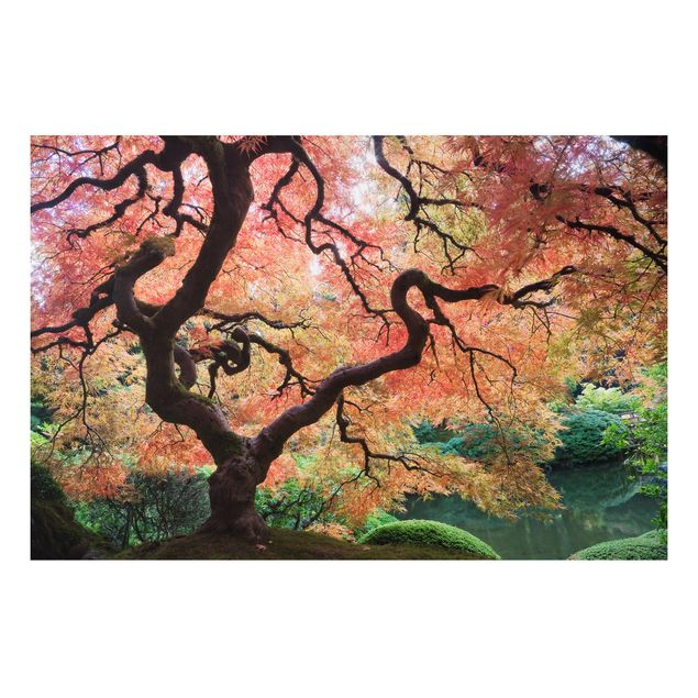 Tableau paysages Jardin japonais