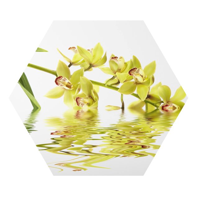 Tableaux florals Eaux élégantes d'orchidées