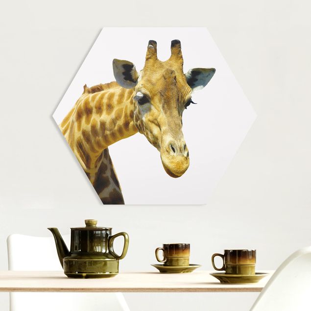 Tableaux girafes No.21 Girafe Piqueuse