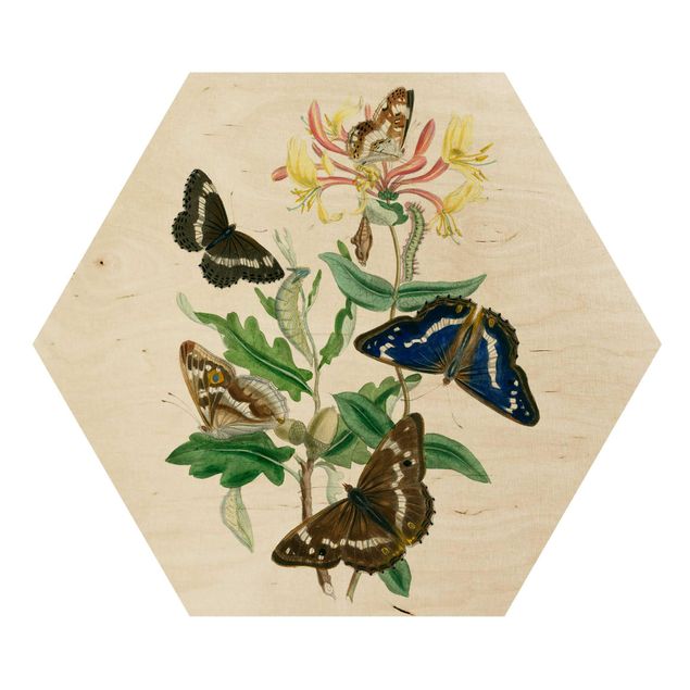 Tableaux bois Papillons britanniques IV