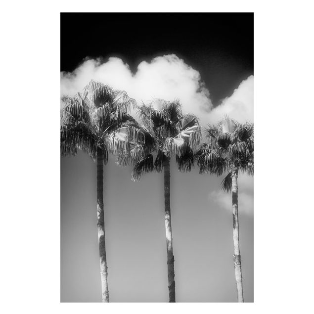 Tableaux paysage Palmiers Contre Le Ciel Noir Et Blanc