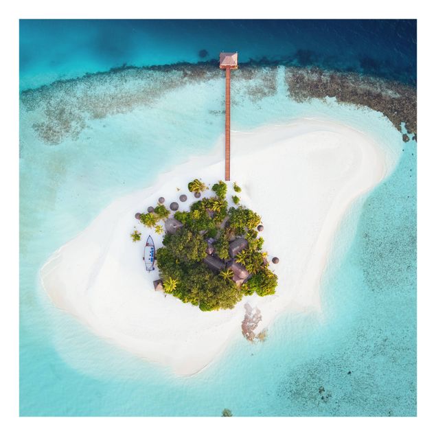 Fond de hotte - Ocean Paradise Maldives - Carré 1:1