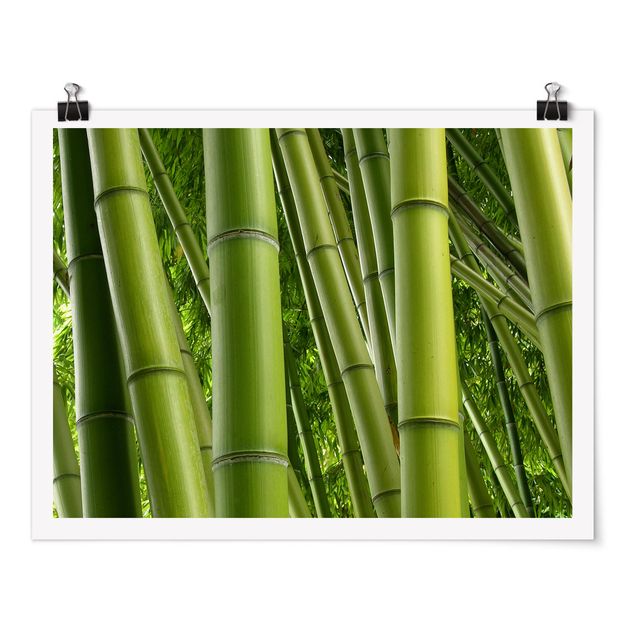 Tableaux moderne Bambous No.2