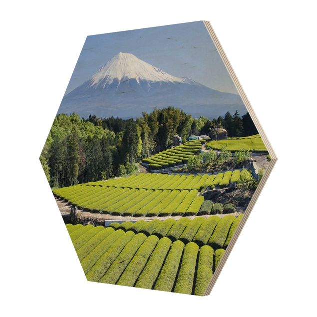 Hexagone en bois - Tea Fields In Front Of The Fuji