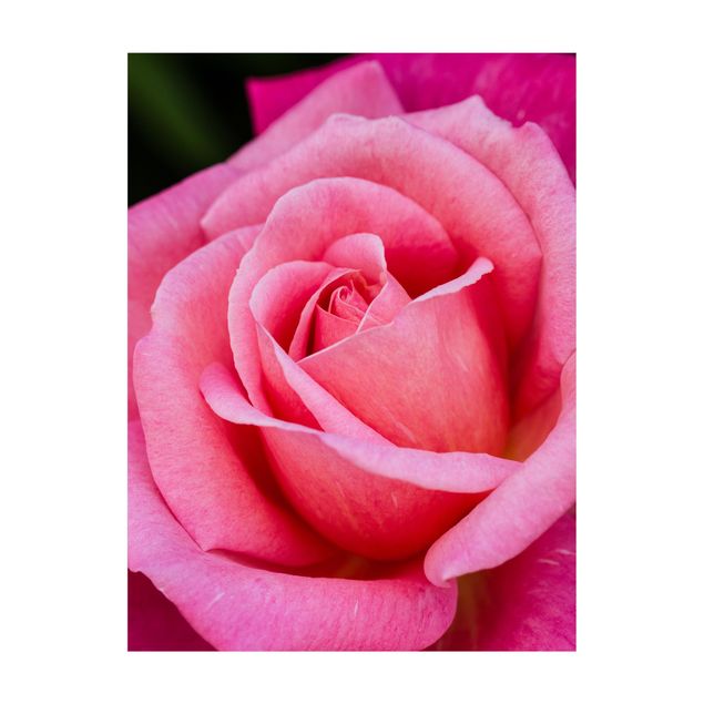 tapis fleuri Fleurs de rose rose sur fond vert