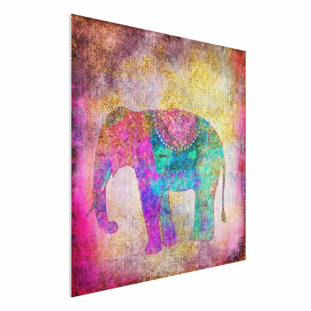 Déco mur cuisine Collage coloré - Éléphant indien