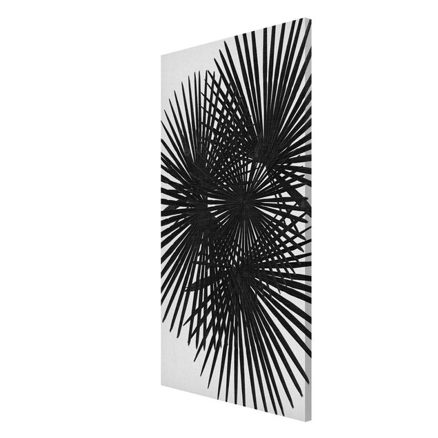 Tableaux modernes Feuilles de palmier en noir et blanc