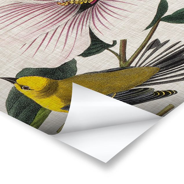 Tableau décoration Bird On Linen Yellow I