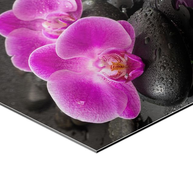 Tableaux muraux Fleur Orchidée Rose sur Pierres avec Gouttes
