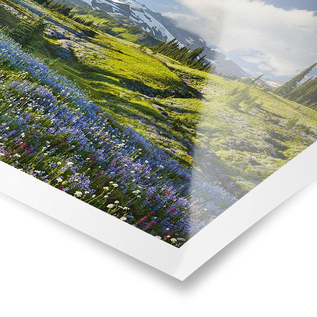 tableaux floraux Mountain Meadow With Blue Flowers in Front of Mt. Rainier
