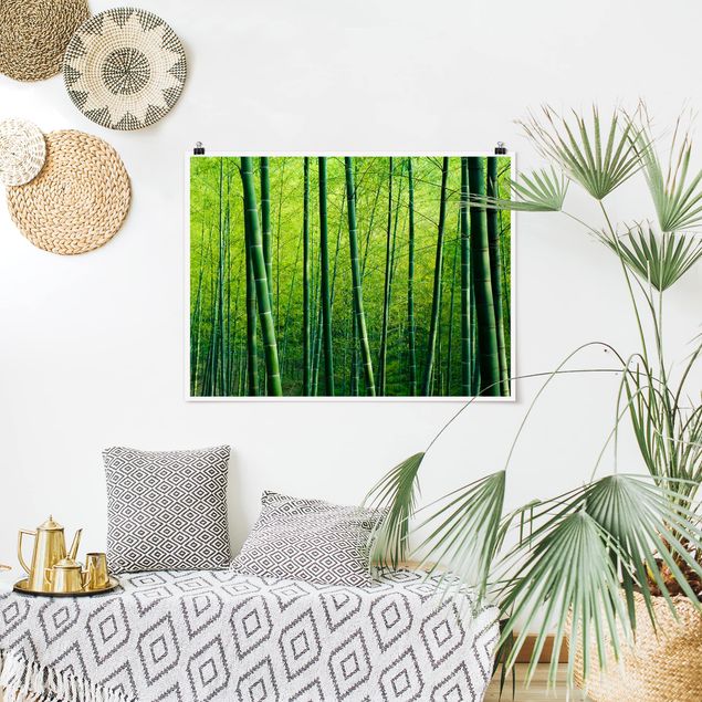 Tableaux paysage Forêt de bambous
