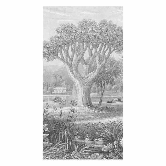 Revêtement mural de douche - Tropical Copperplate Engraving Garden With Pond In Grey