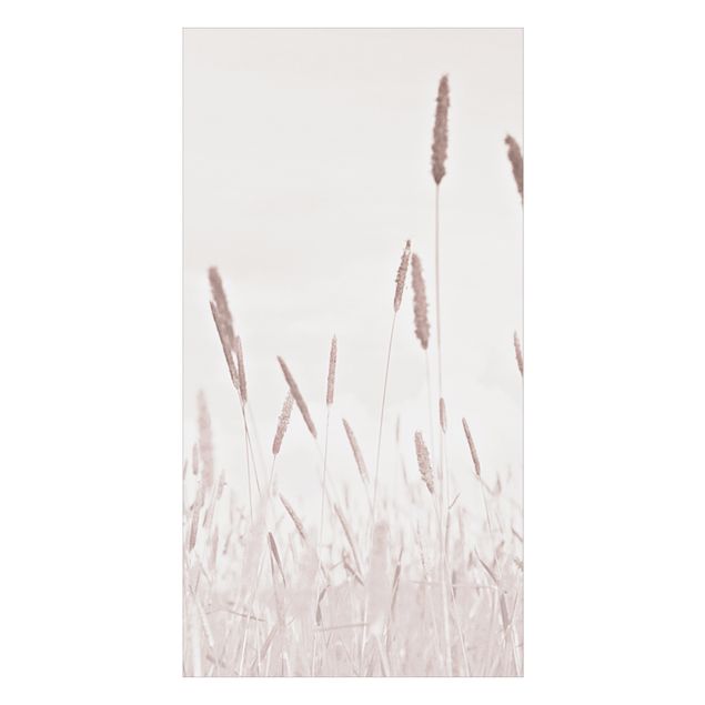 Revêtement mural de douche - Summerly Reed Grass