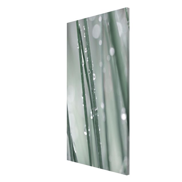 Tableau moderne Macrophoto de perles d'eau sur de l'herbe