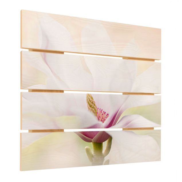 Impression sur bois - Delicate Magnolia Blossom